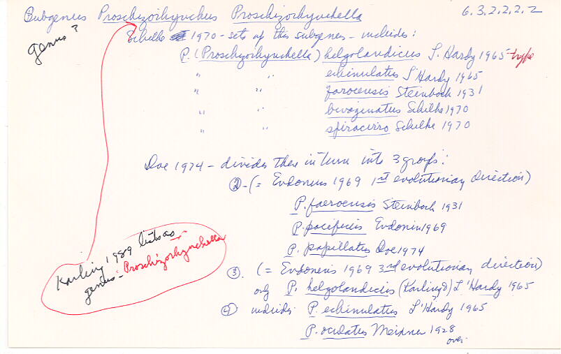 index card