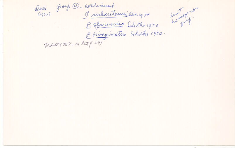 index card