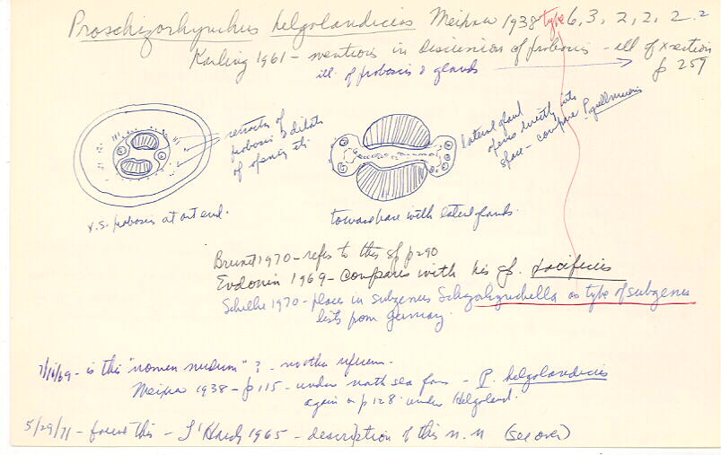 index card
