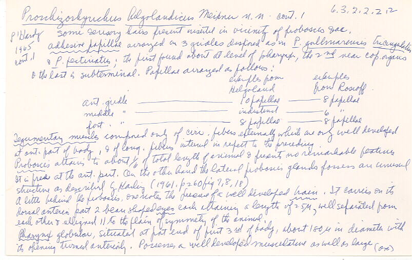 index card