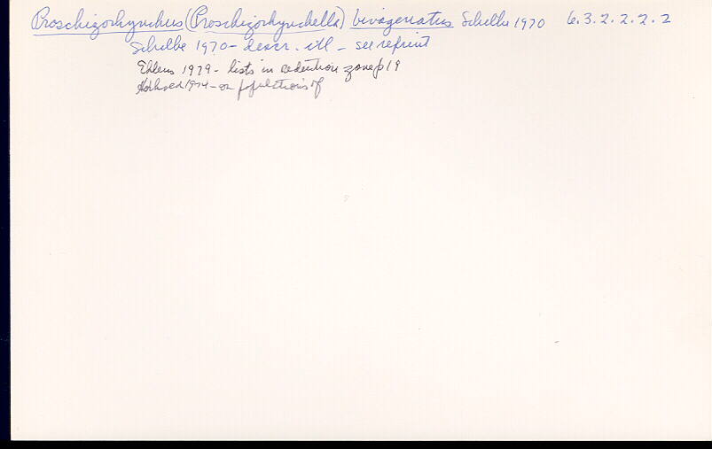 index card