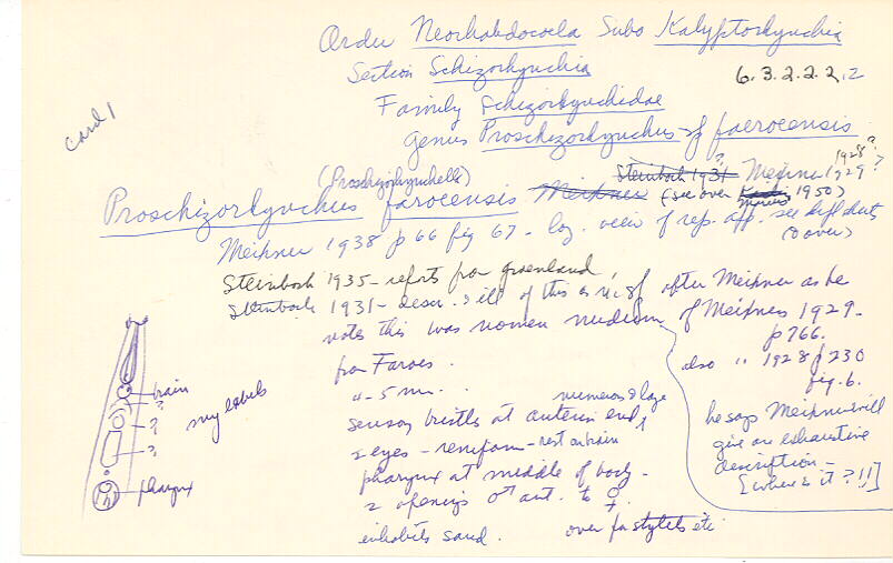 index card
