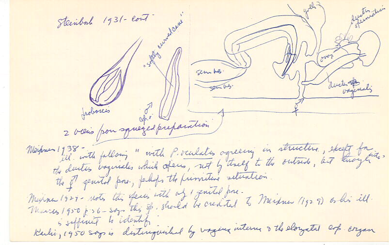 index card