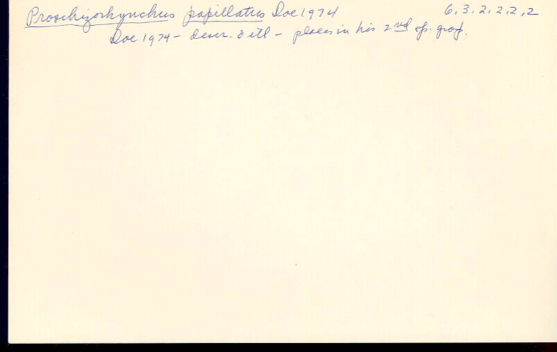 index card