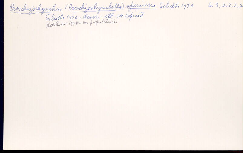 index card