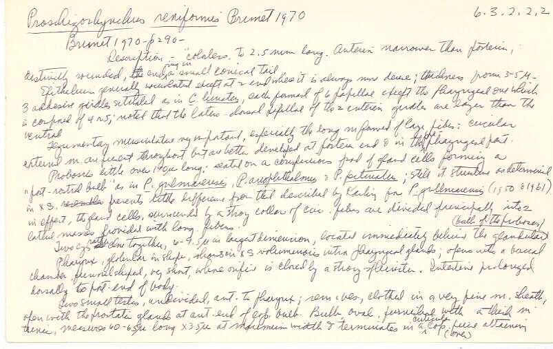index card