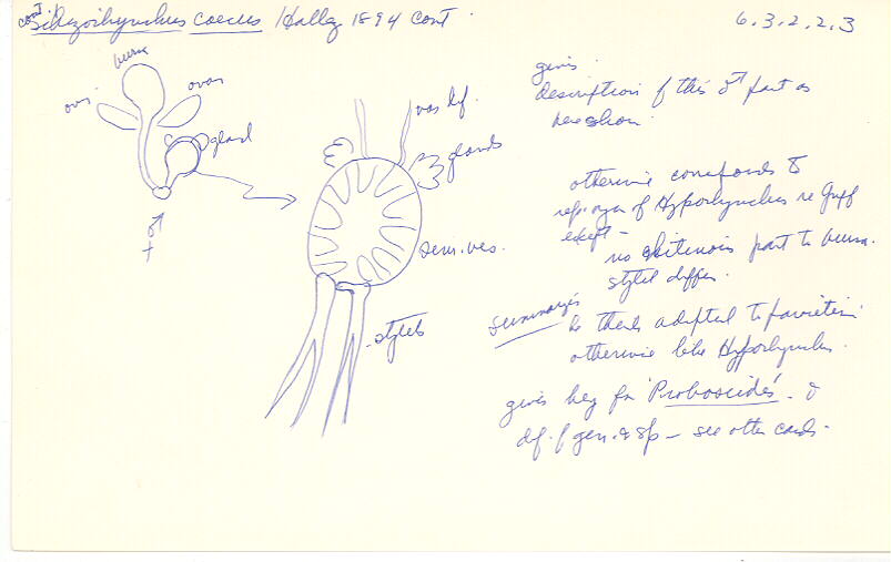 index card