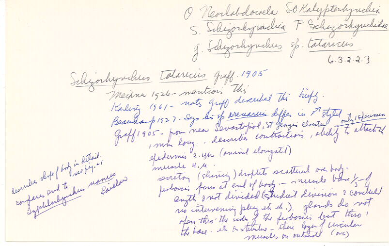index card