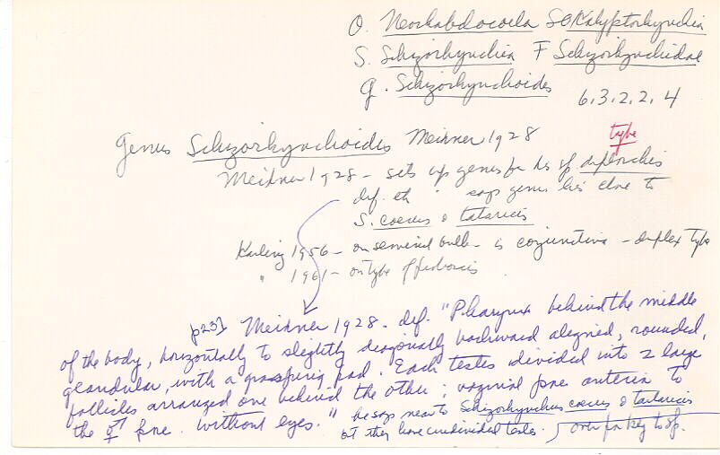 index card