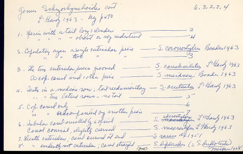 index card