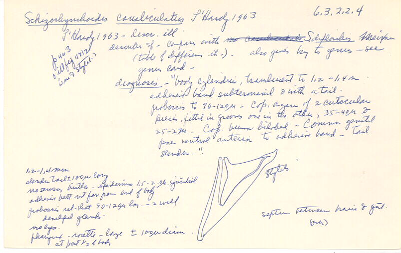 index card