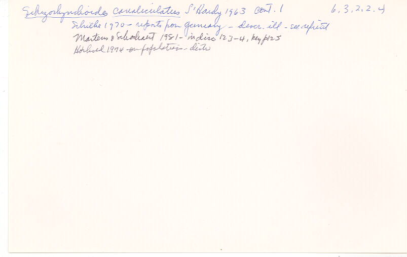 index card