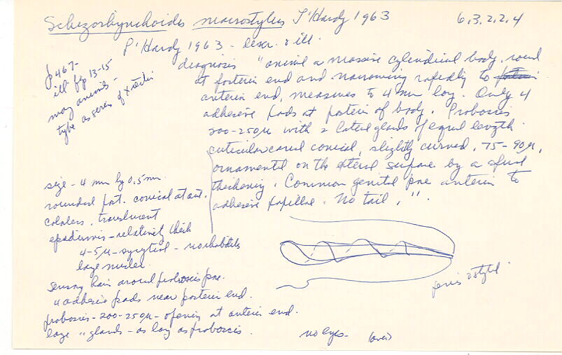index card