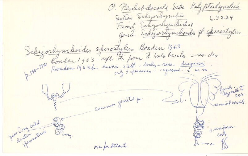 index card