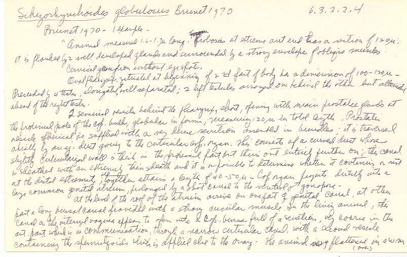 index card