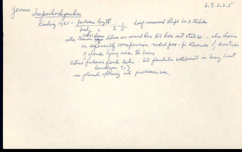 index card