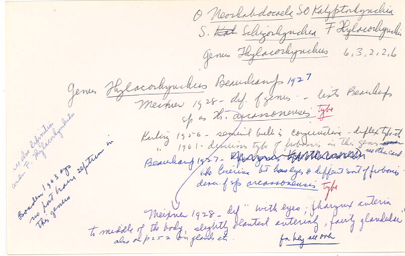index card