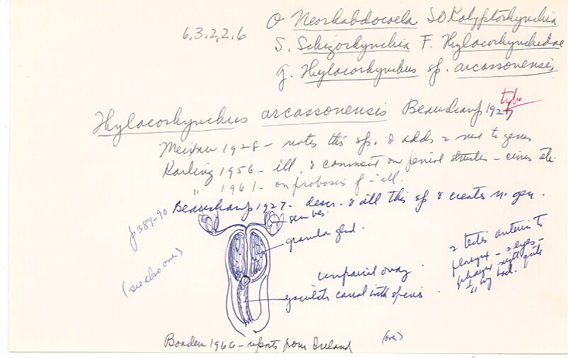 index card