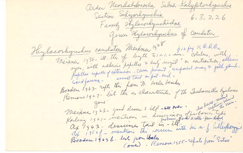 index card
