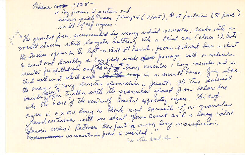 index card