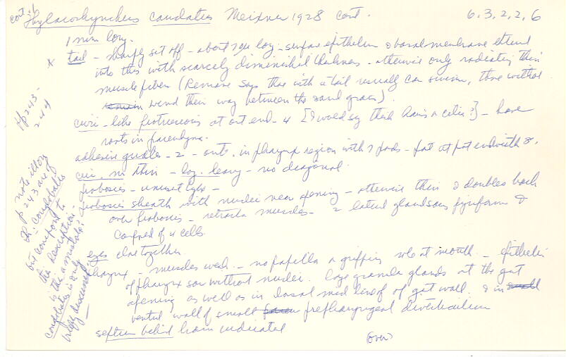 index card