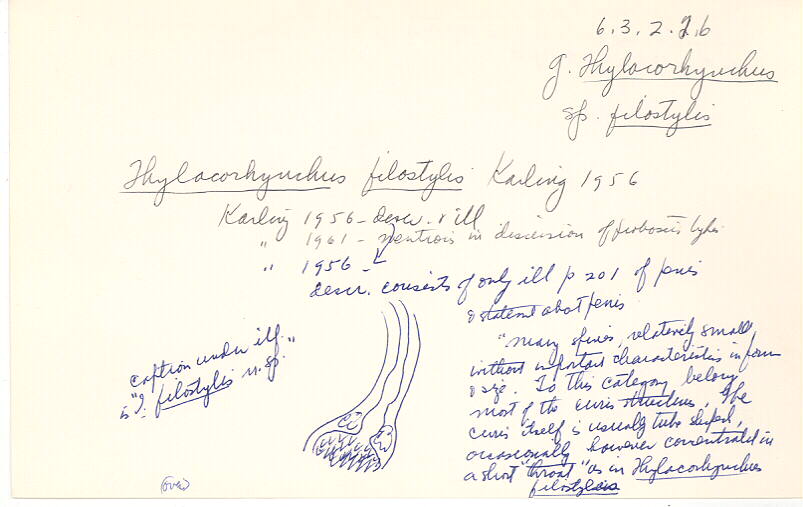 index card