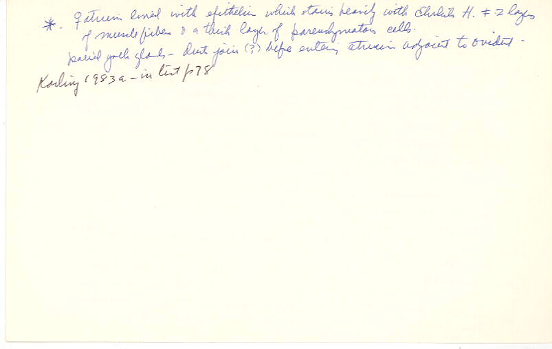 index card