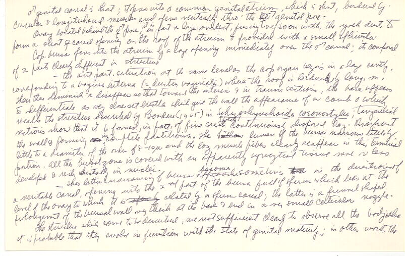 index card