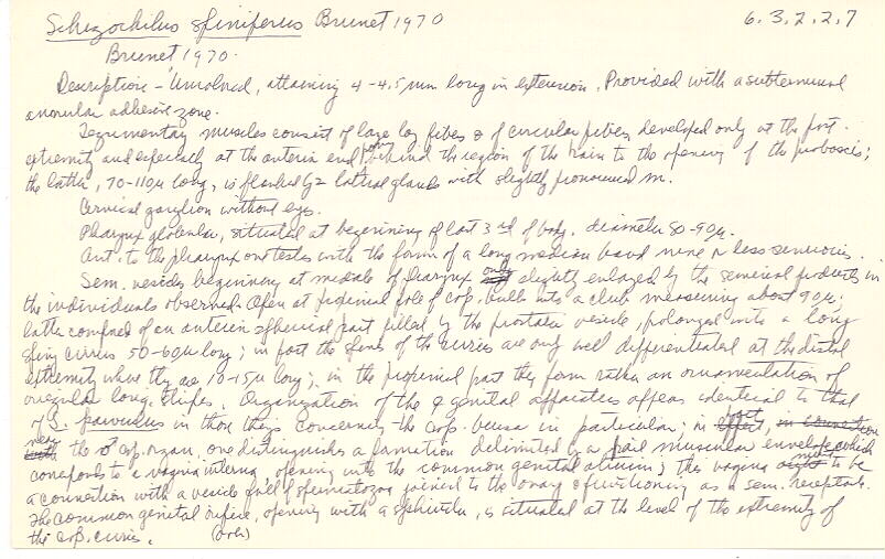 index card