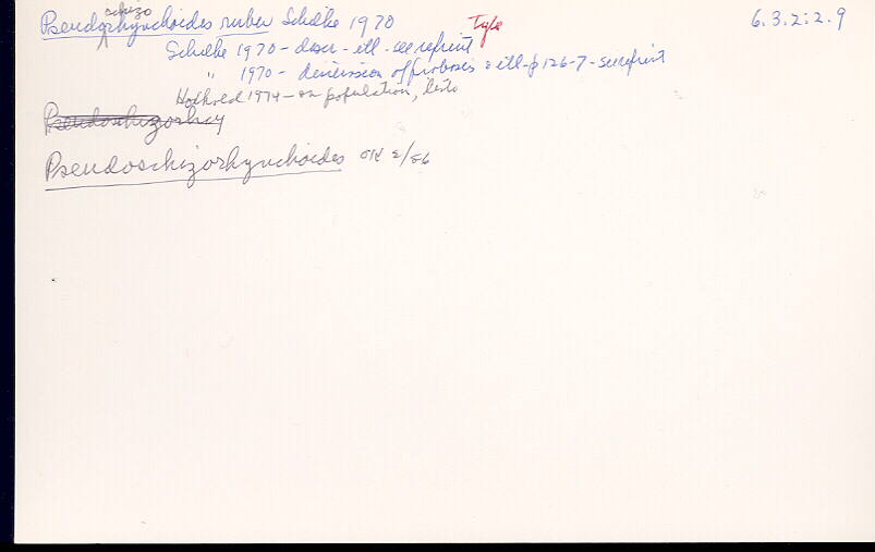 index card