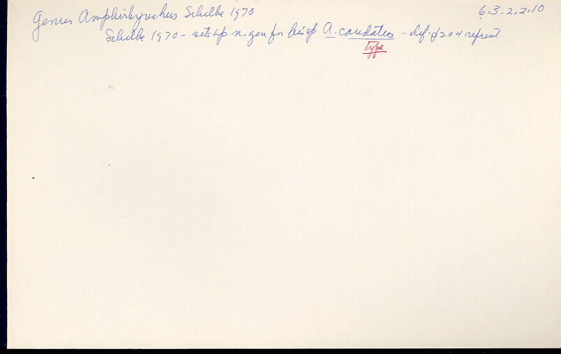 index card