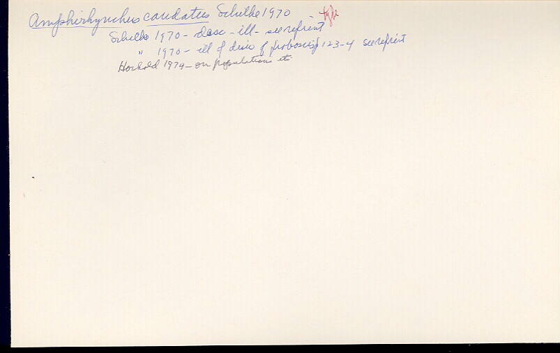 index card