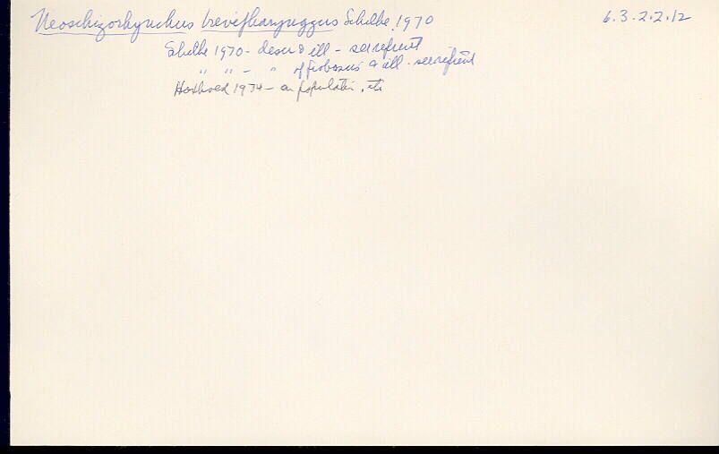 index card