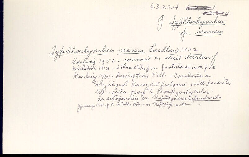 index card