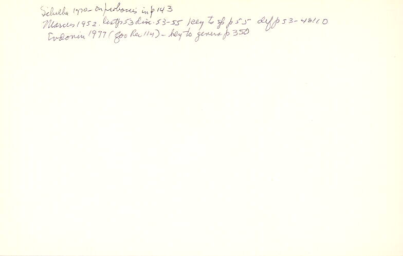 index card