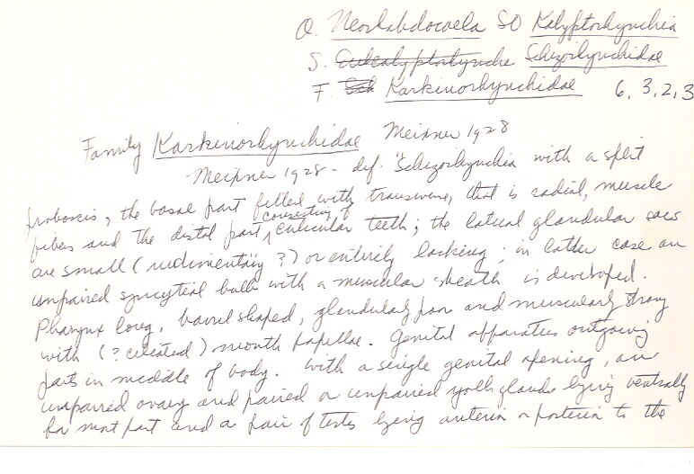index card