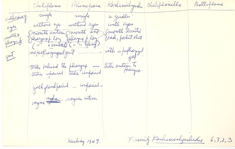 index card
