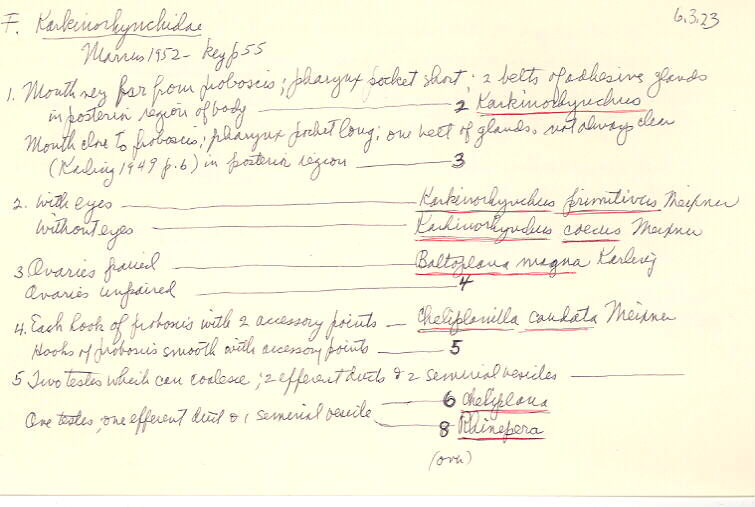 index card