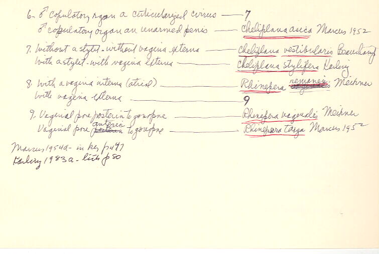 index card