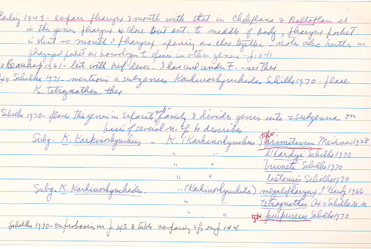 index card
