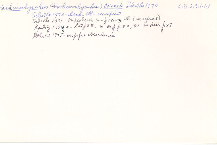 index card