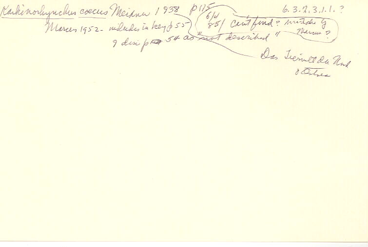 index card