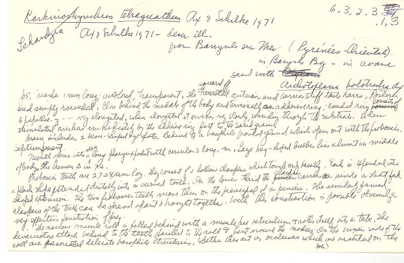 index card