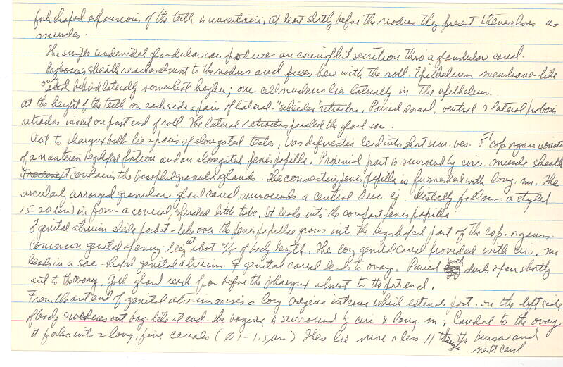index card