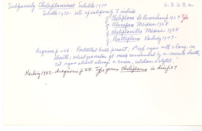 index card