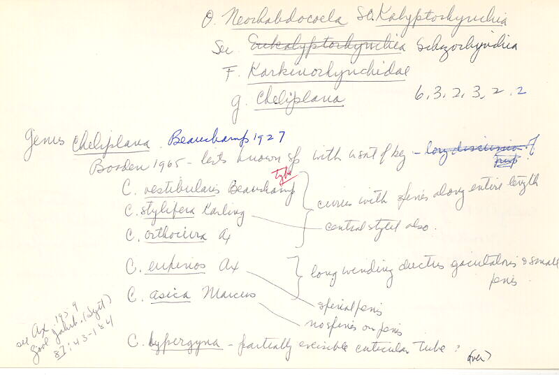 index card