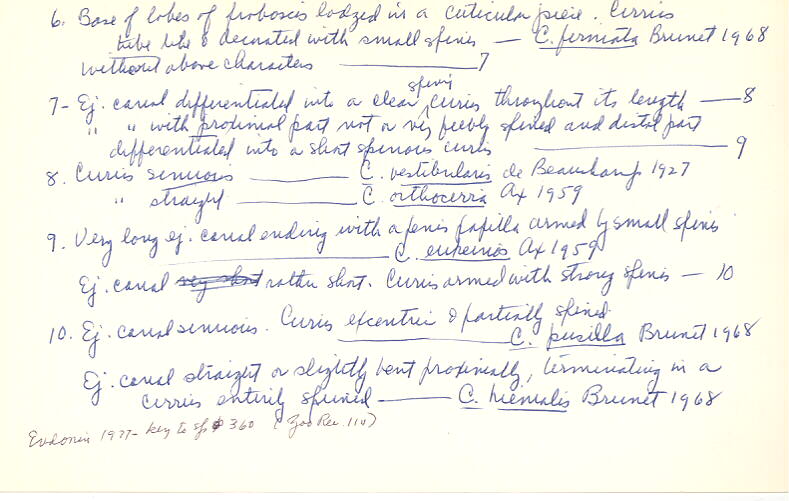 index card