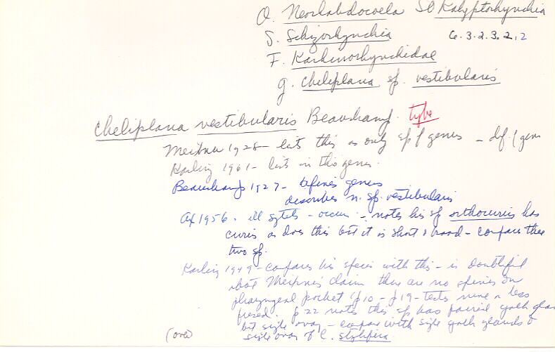 index card