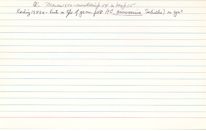 index card