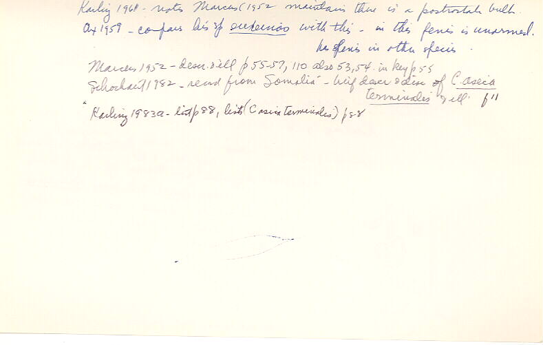 index card